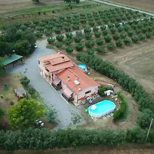 Il Boschetto Tulipano San Donato (Tuscany)