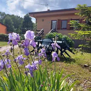 Grazia Valgiano