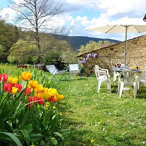 Casa Al Miglio Pratolino