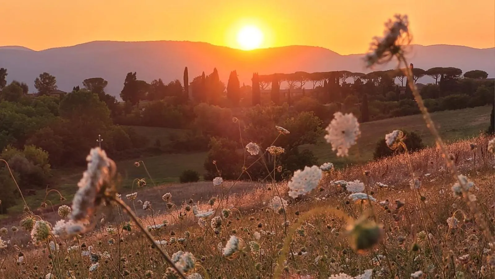 La Villa Dei Fiori San Rocco a Pilli 0*,