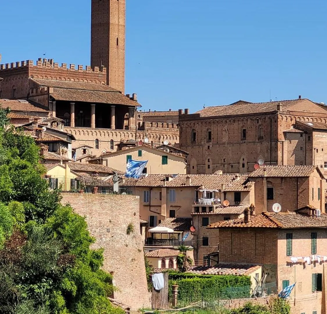 La Villa Dei Fiori San Rocco a Pilli